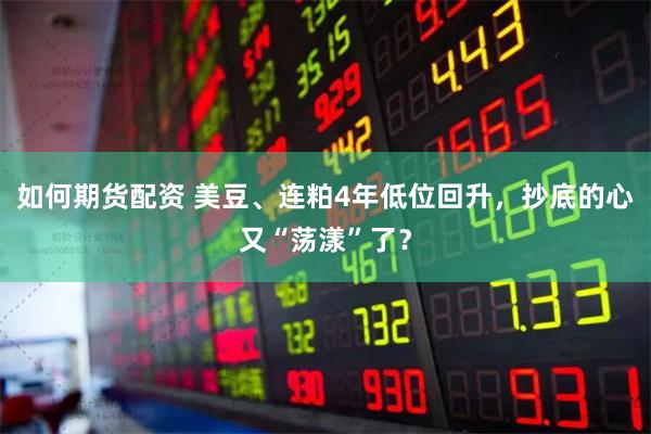 如何期货配资 美豆、连粕4年低位回升，抄底的心又“荡漾”了？