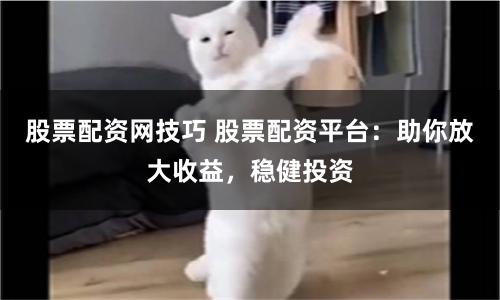 股票配资网技巧 股票配资平台：助你放大收益，稳健投资