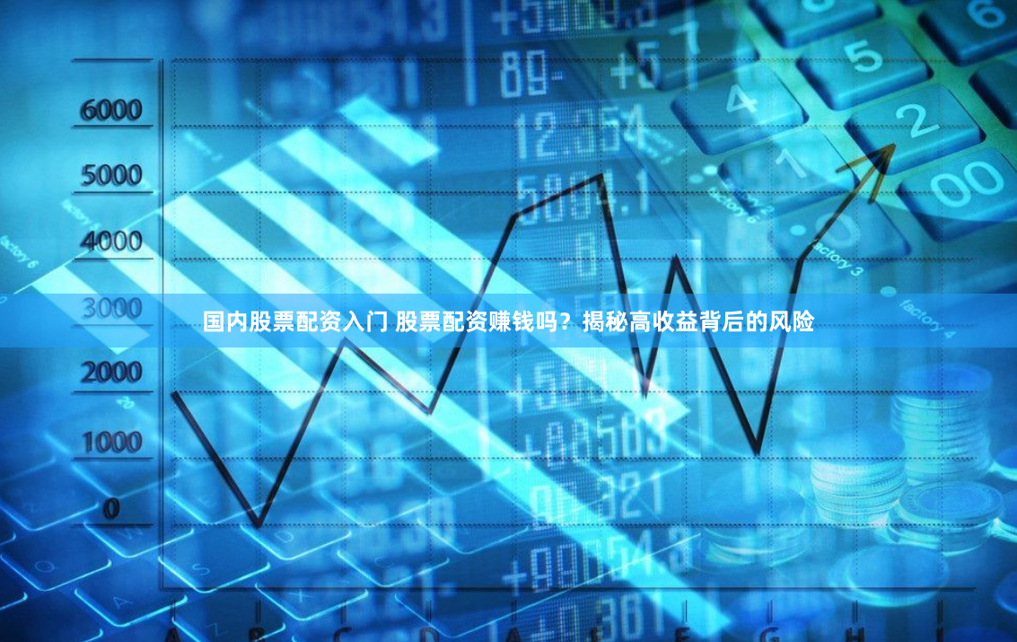 国内股票配资入门 股票配资赚钱吗？揭秘高收益背后的风险