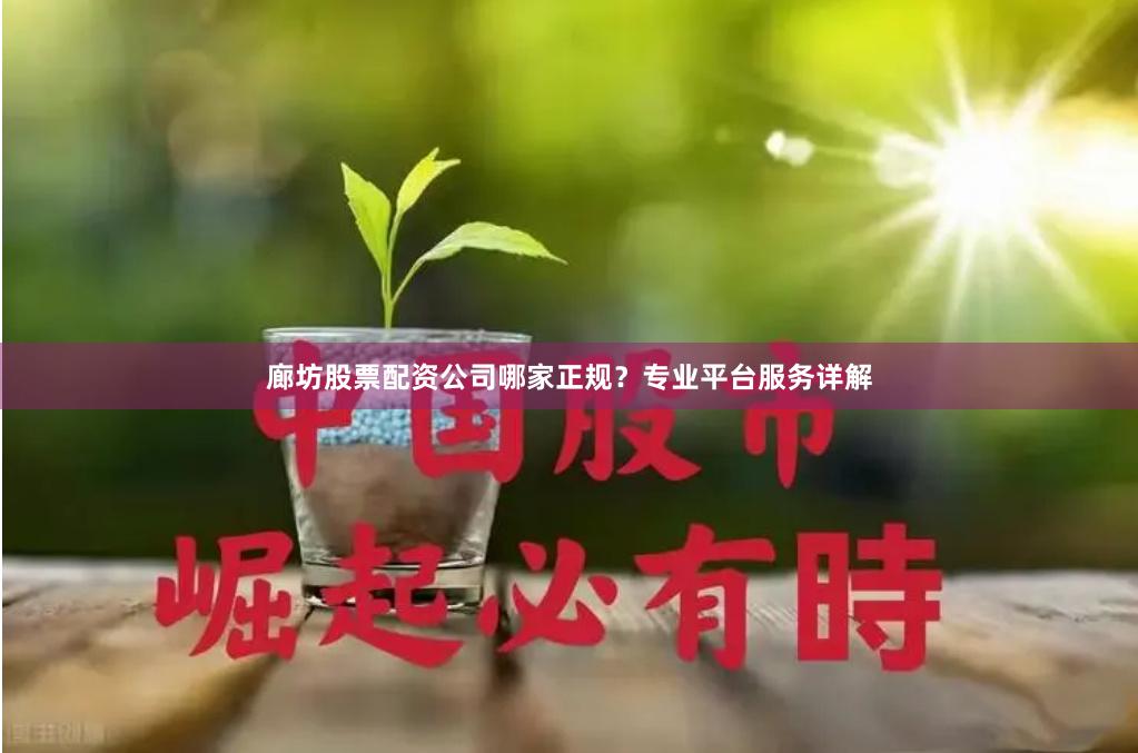 廊坊股票配资公司哪家正规？专业平台服务详解