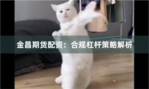 金昌期货配资：合规杠杆策略解析
